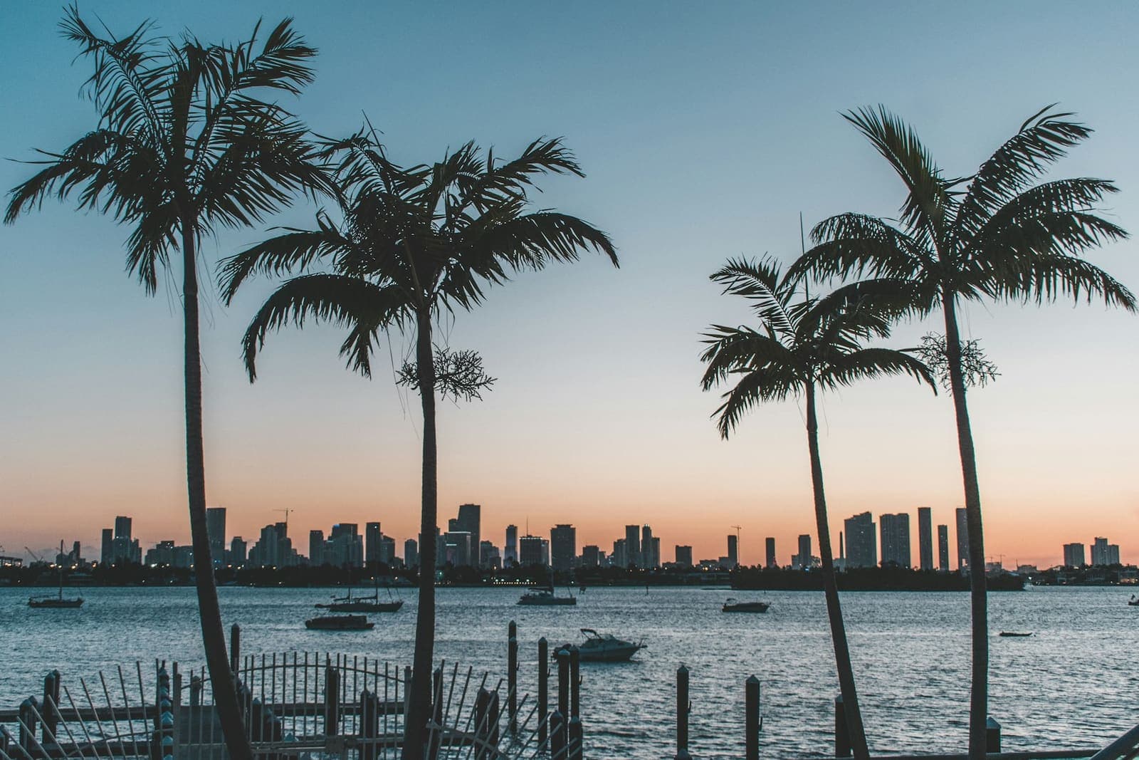 Palm silhouettes over the water at sunset (placeholder stock photo)